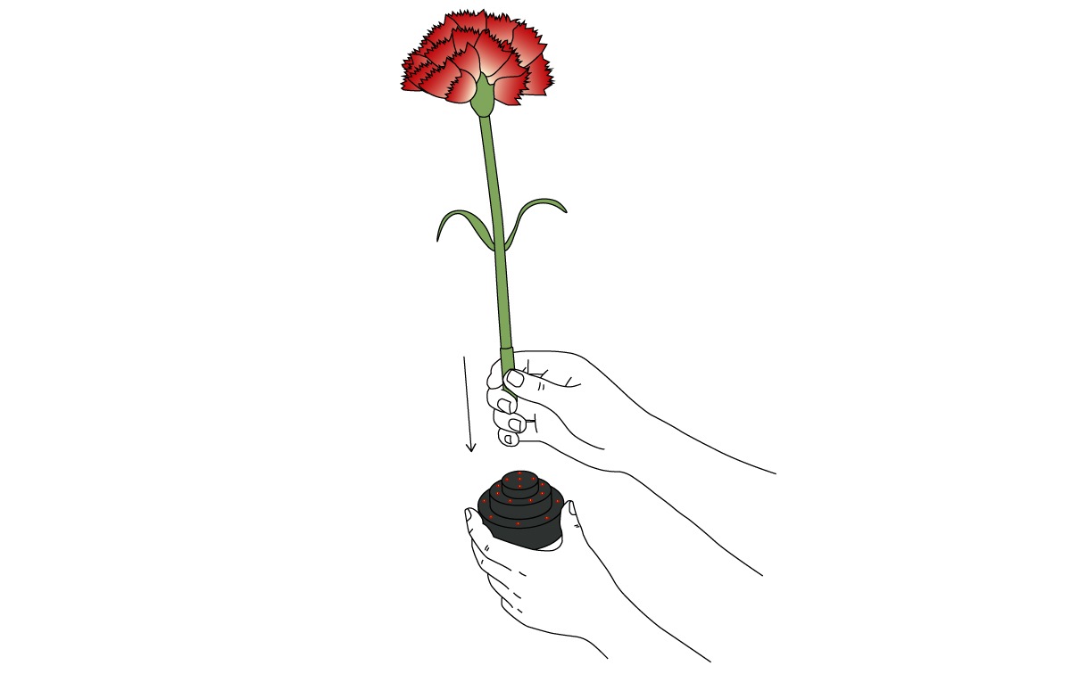 イルミネーションフラワー　カーネーション　ピンク　　　　　　　　＊花のみ