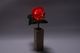 新シングルアレンジメント　バラ（赤）1本セット(花瓶：木製)