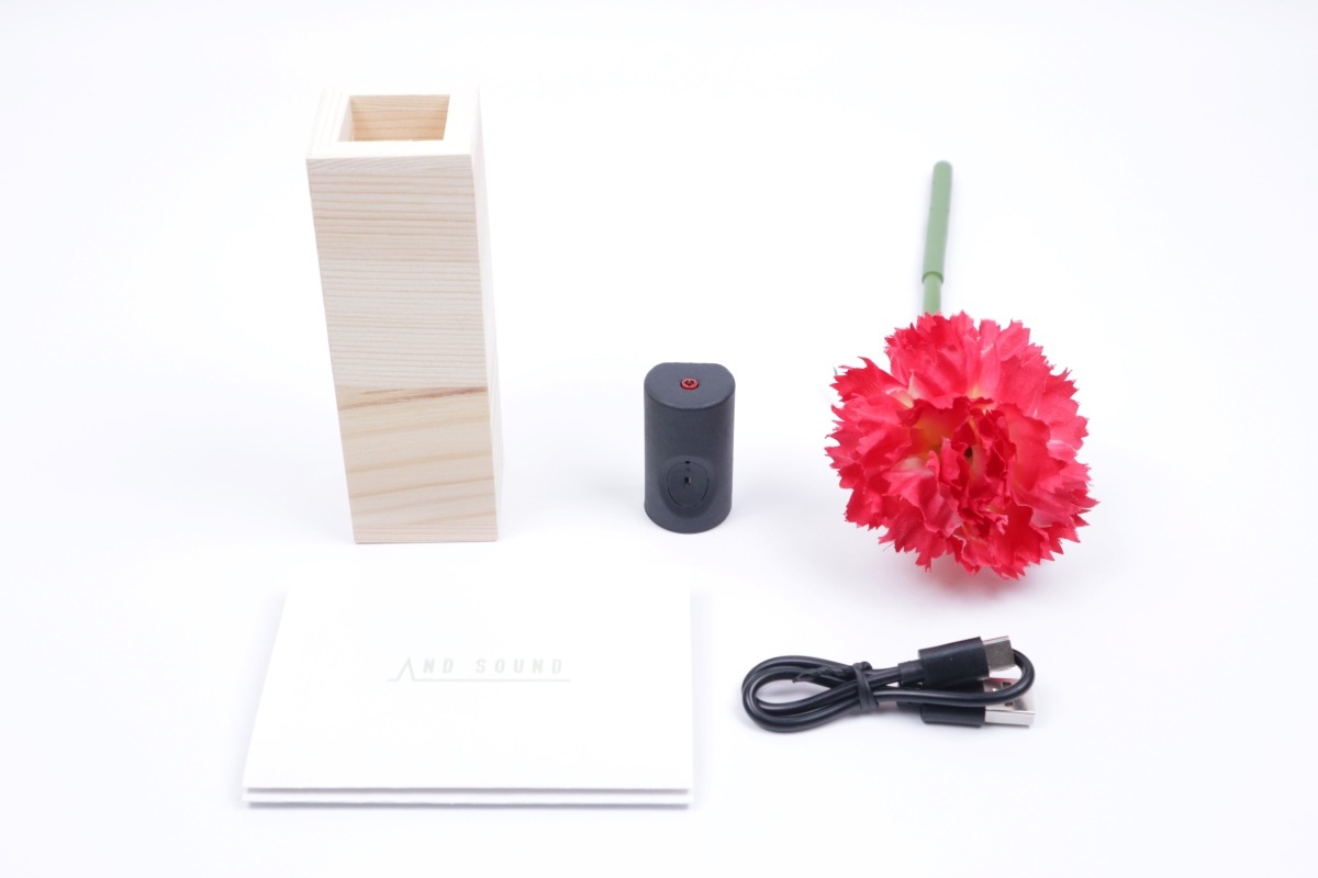 新シングルアレンジメント　カーネーション（赤）1本セット(花瓶：木製)