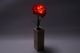 新シングルアレンジメント　カーネーション（赤）1本セット(花瓶：木製)