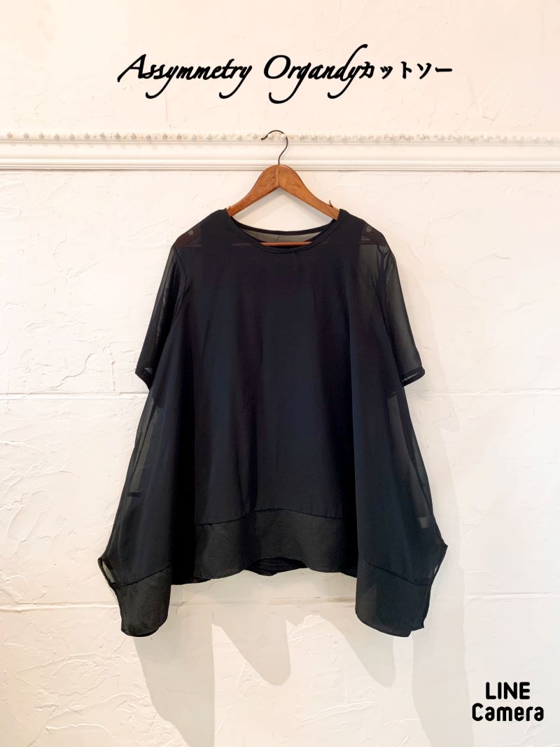 Assymmetryオーガンジーカットソー