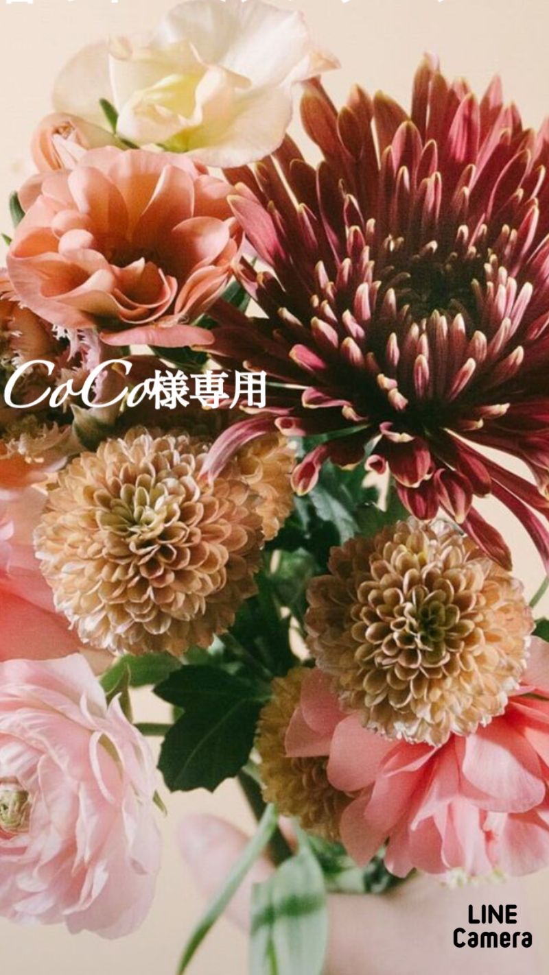 CoCo様専用