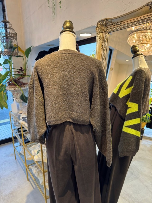 LetterDezignショートニット