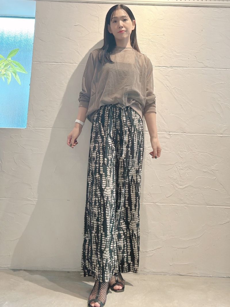 BackLetterLineMeshカットソー