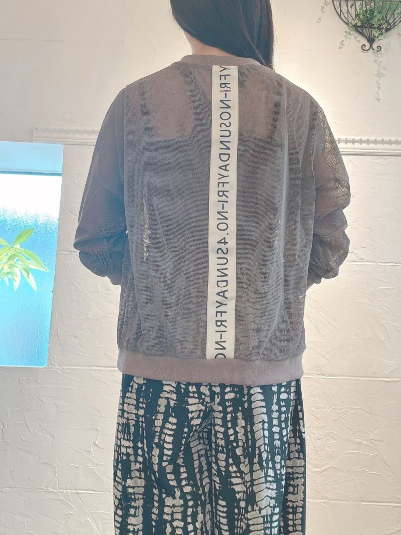 BackLetterLineMeshカットソー