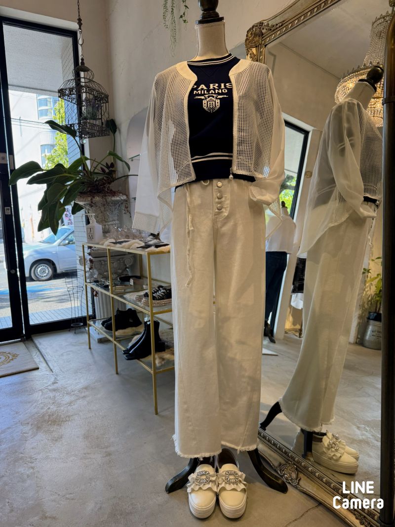 Mesh×Chiffon BackLong Jacket