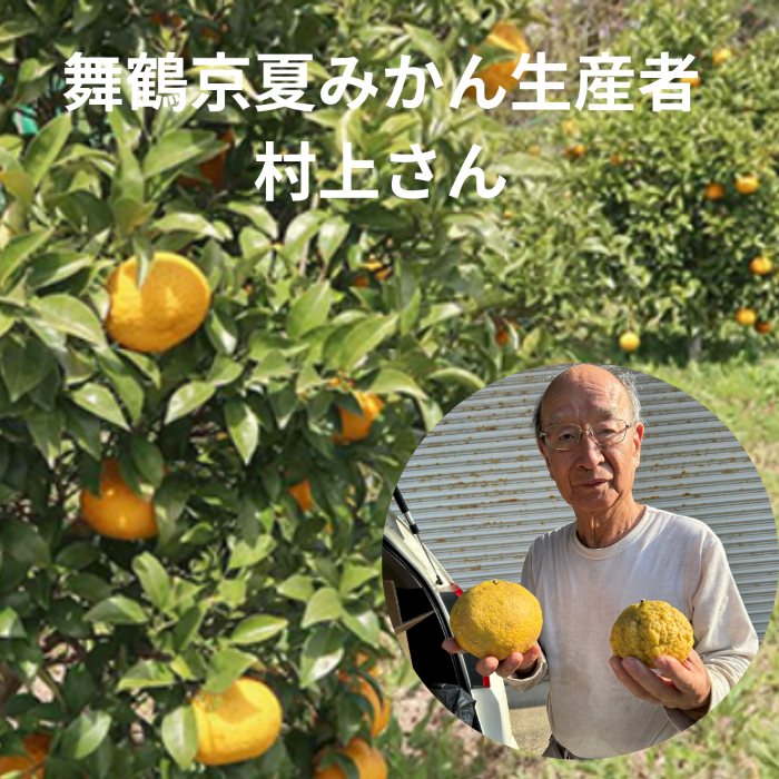 新商品】エマ・カクテルドレッシング ギフトボックス 3種セット