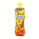 ñۡھﲹء2̵ʰϰ˥󥷡աƥ/ֹ500ml30ܡ2