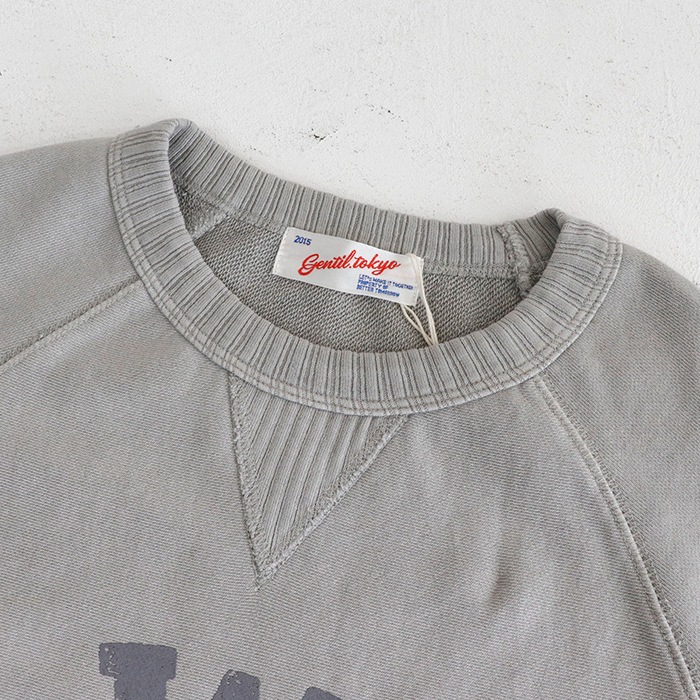 LWU�ץ��� �����å� �饰��� �ץ륪���С�