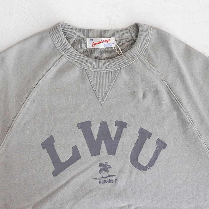 LWU�ץ��� �����å� �饰��� �ץ륪���С�