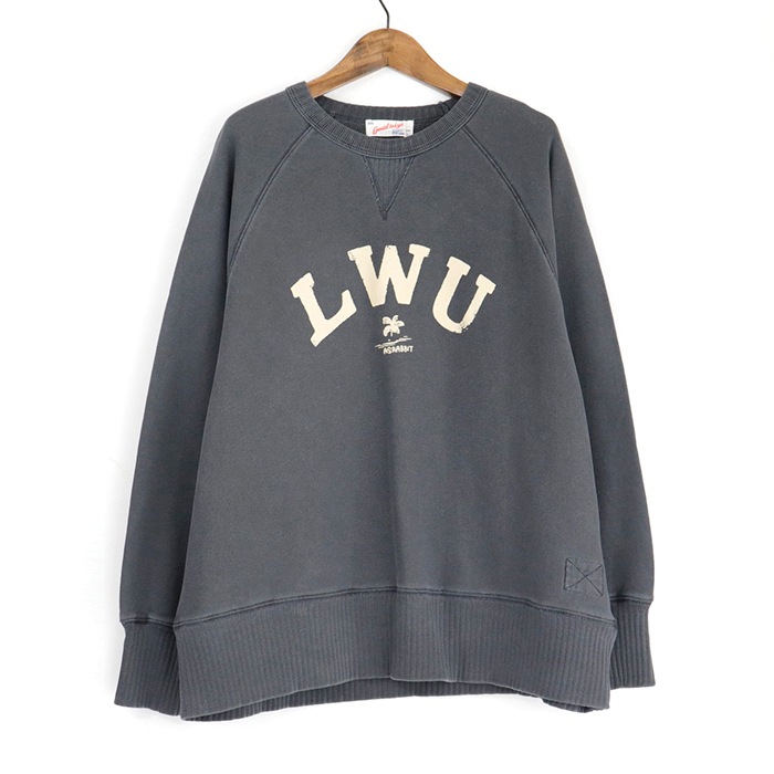 LWU�ץ��� �����å� �饰��� �ץ륪���С�