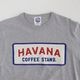 �ں��Ͳ�����HAVANA �ץ��� 7ʬµ T�����