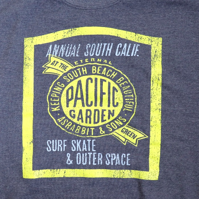 Pacific �ץ��� ΢���� �ȥ졼�ʡ�