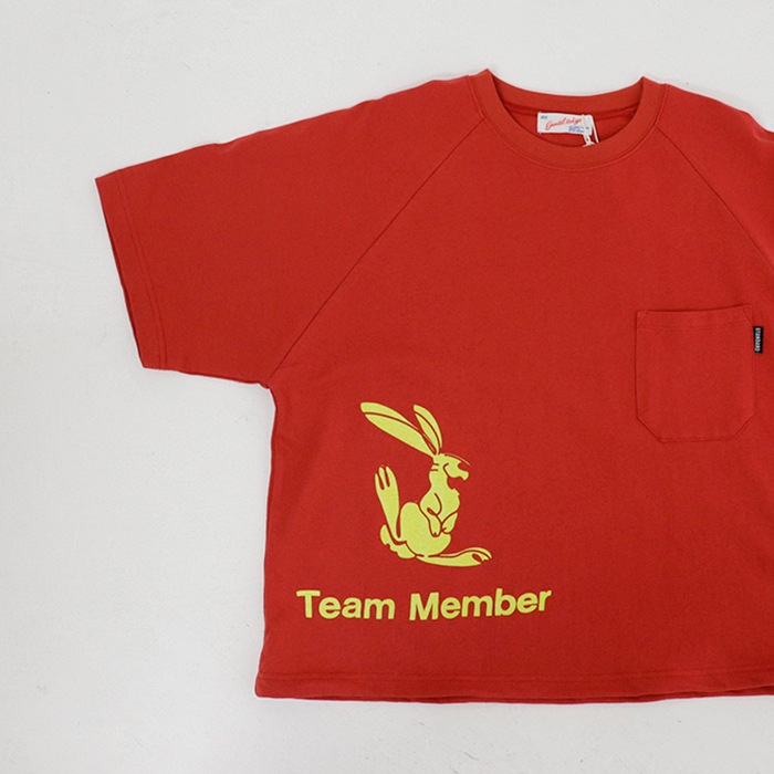 Team Member������ �����ԥ�ɥ� ���ݥ��å� 5ʬµ T�����