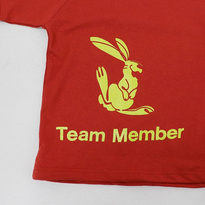 Team Member������ �����ԥ�ɥ� ���ݥ��å� 5ʬµ T�����