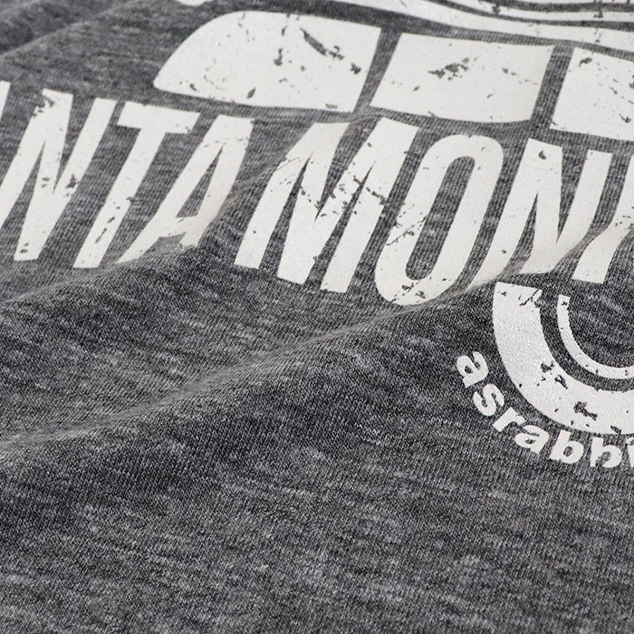 [㤤] SANTAMONICA ץ ȥ饤֥ Ⱦµ T