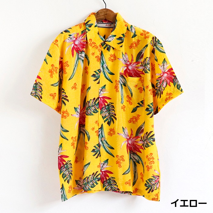 [Last One SALE] 졼  Ⱦµ