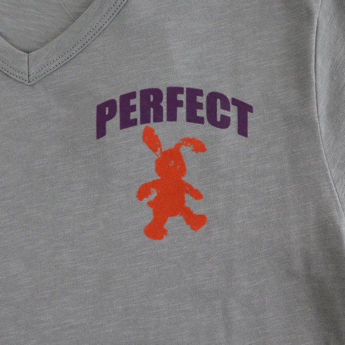 PERFECT �ե��å����ץ��� V�ͥå� Ⱦµ T�����