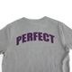 PERFECT �ե��å����ץ��� V�ͥå� Ⱦµ T�����