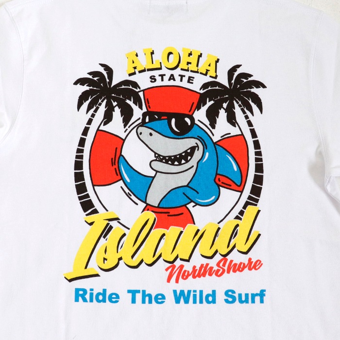 [㤤]  Hula Lani 㡼 ץ ȾµT