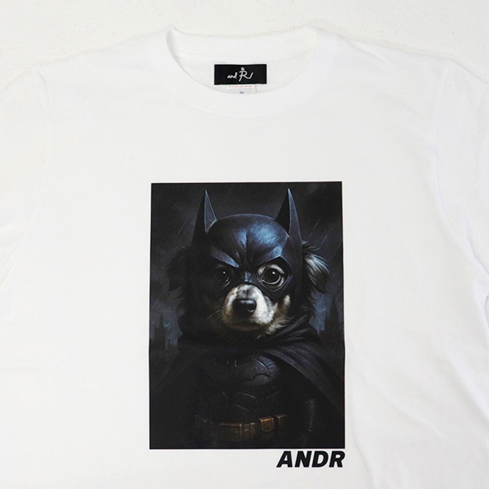 andR 25AW ���ͥ� �ץ��� ĹµT����ġڴ��ָ��ꡦ����������