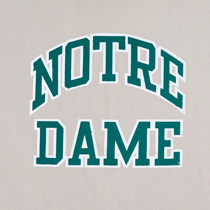 NOTRE DAME ץ 5ʬµ T