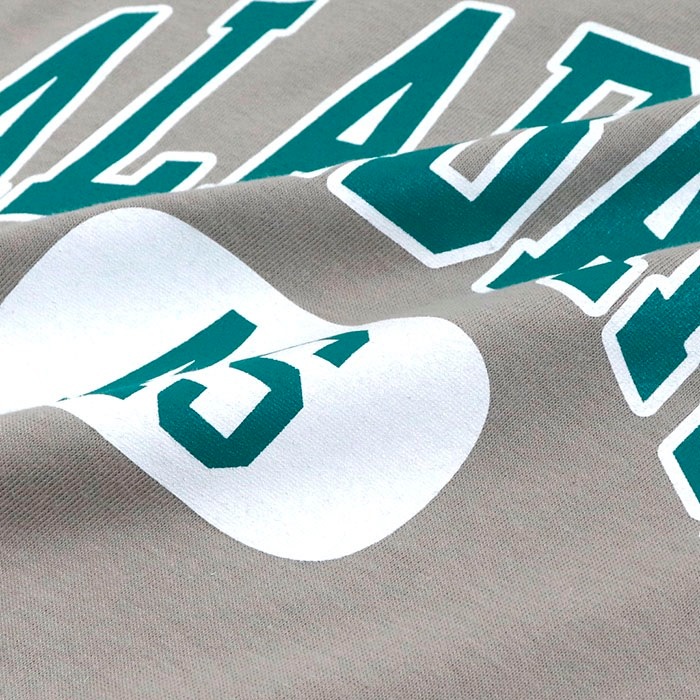 ALABAMA ץ 롼ͥå ȾµT