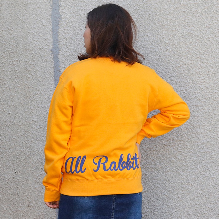 �ե�å��ץ��� ΢�� �ץ륪���С�