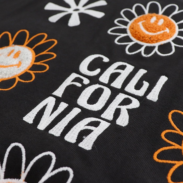 Cali Surf ���ޥ��꡼ �ɽ����äѤ� ȾµT�����