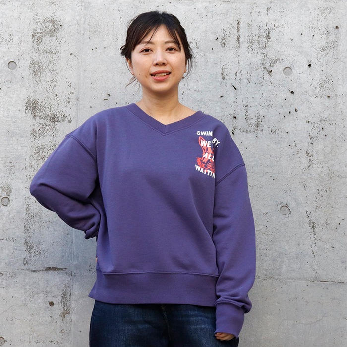 Swing������ ΢�� V�ͥå� �ץ륪���С�