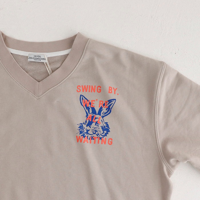 Swing������ ΢�� V�ͥå� �ץ륪���С�