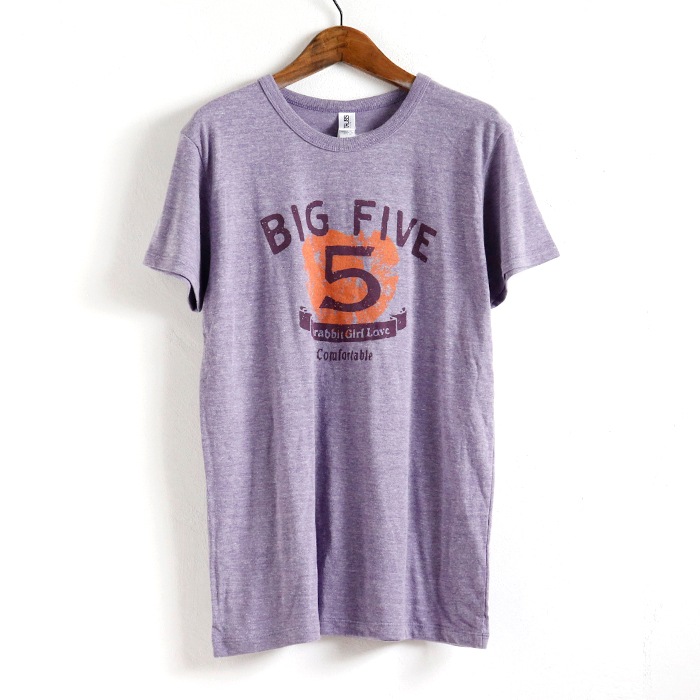 [���㤤��] BIG FIVE �ץ��� �ȥ饤�֥��� Ⱦµ T�����