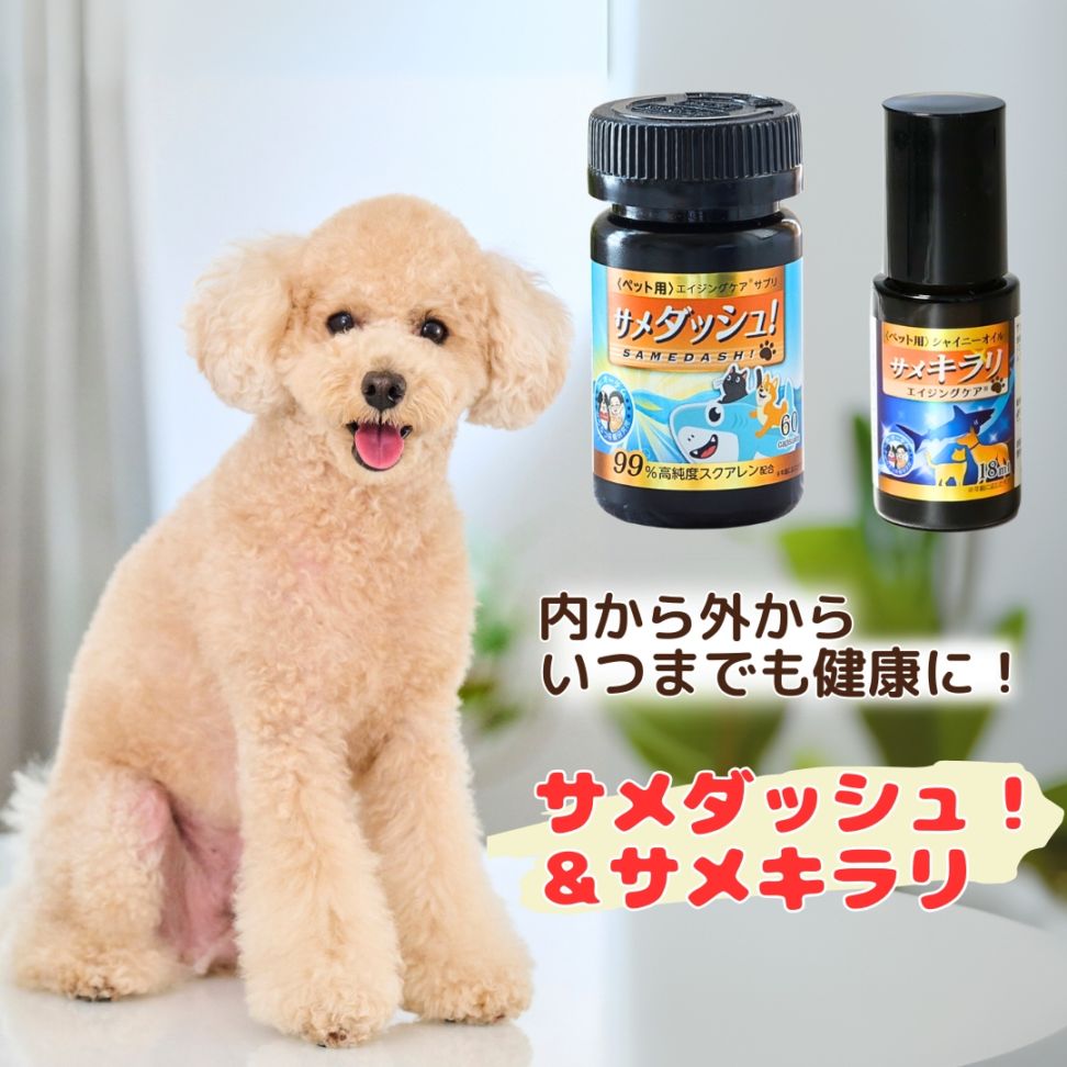 【15％お得】　サメダッシュ！＆サメキラリセット