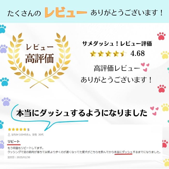 サメダッシュ！