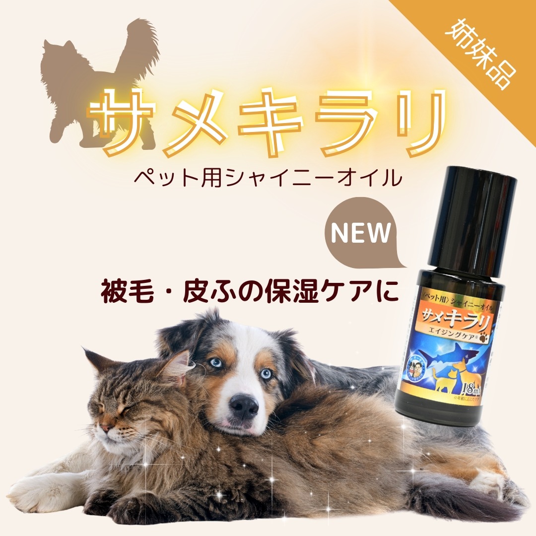 サメダッシュ！3本セット