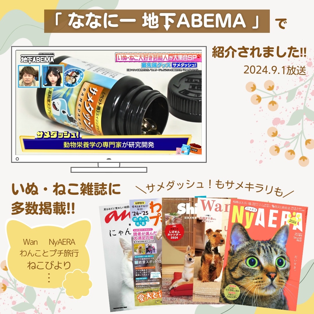 サメダッシュ！3本セット