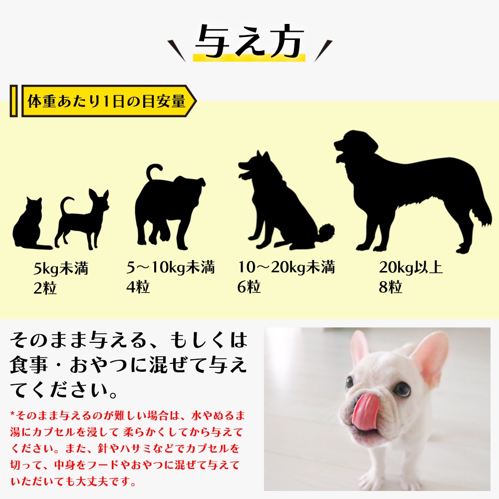 サメダッシュ！3本セット