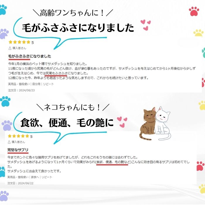 サメダッシュ！3本セット