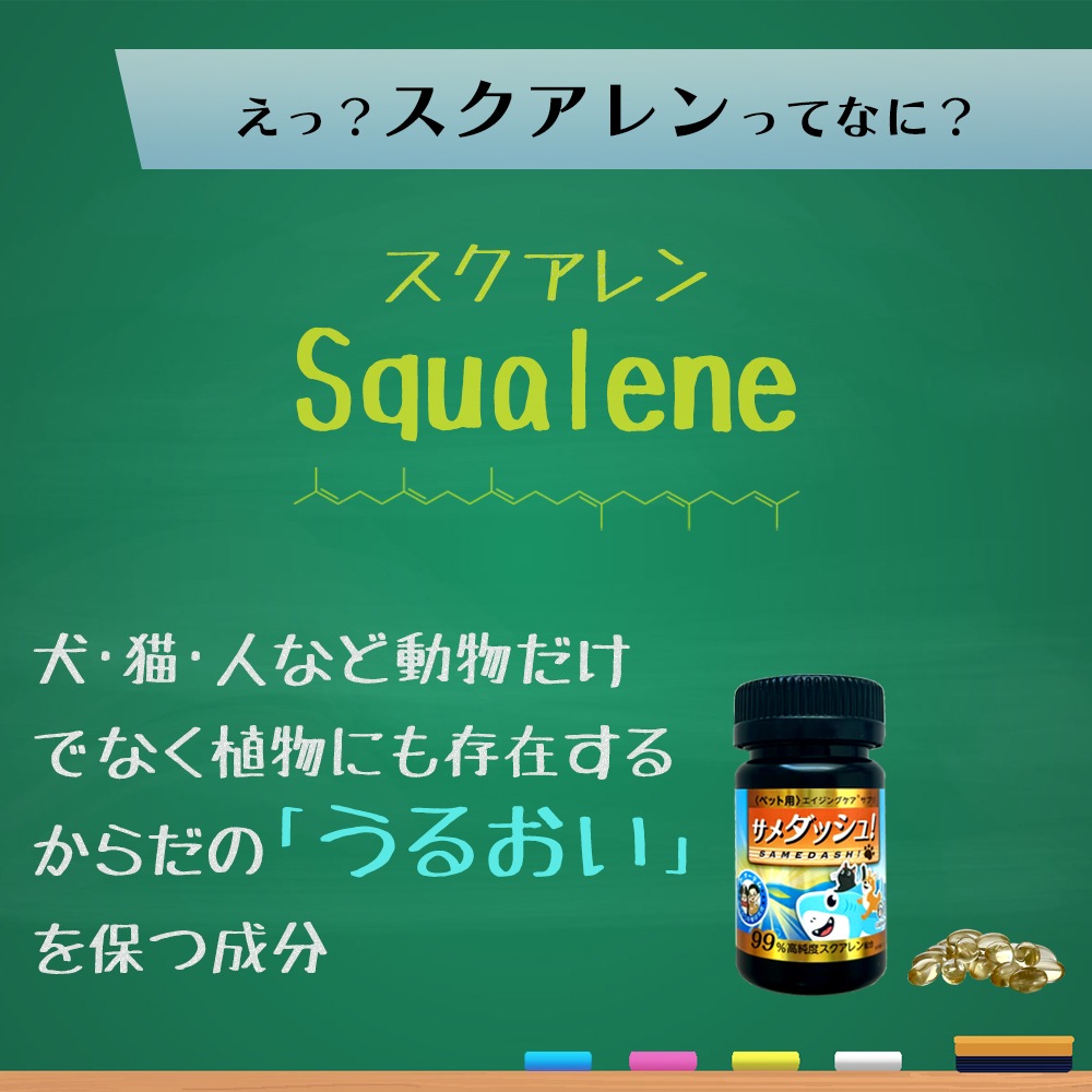 サメダッシュ！3本セット