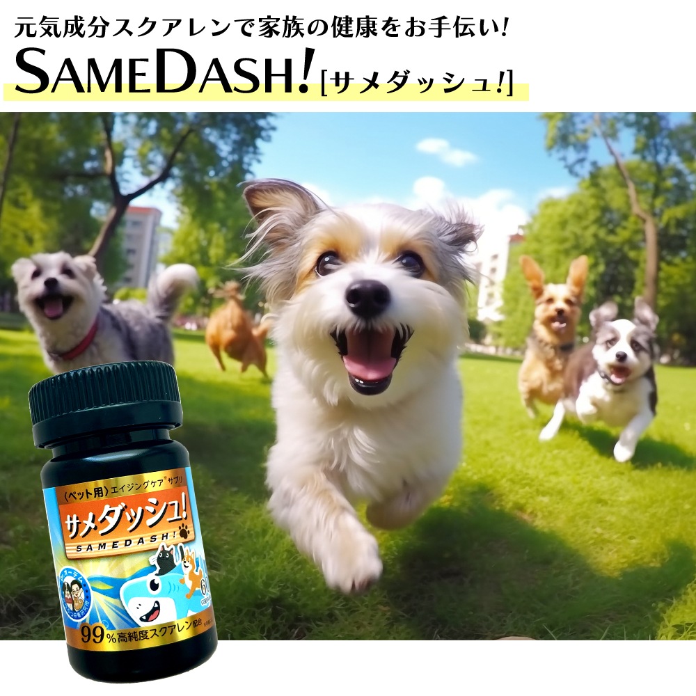 サメダッシュ！3本セット