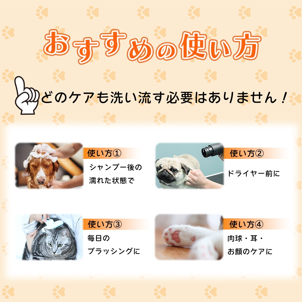 サメキラリ