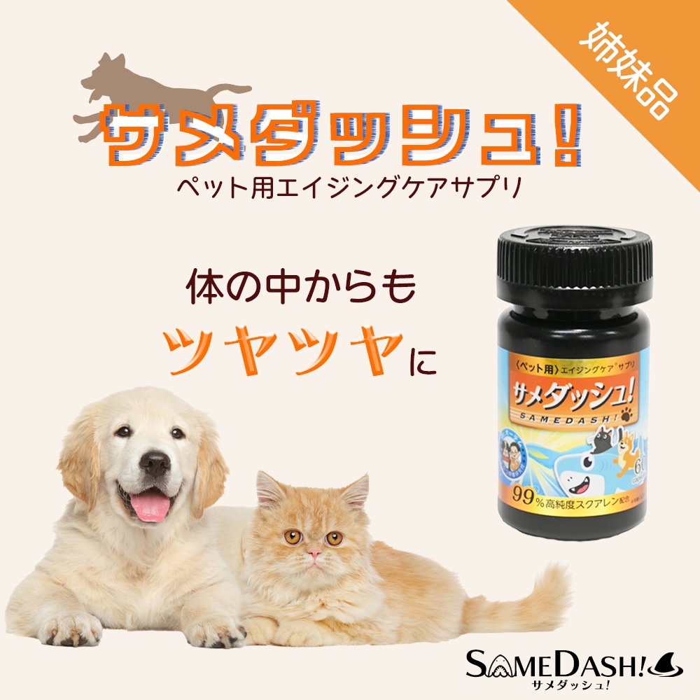 サメキラリ