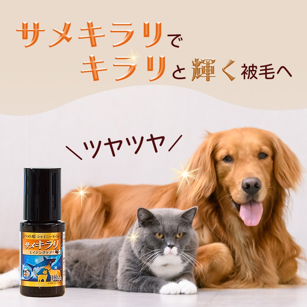 サメキラリ