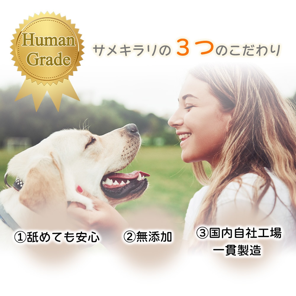 サメキラリ