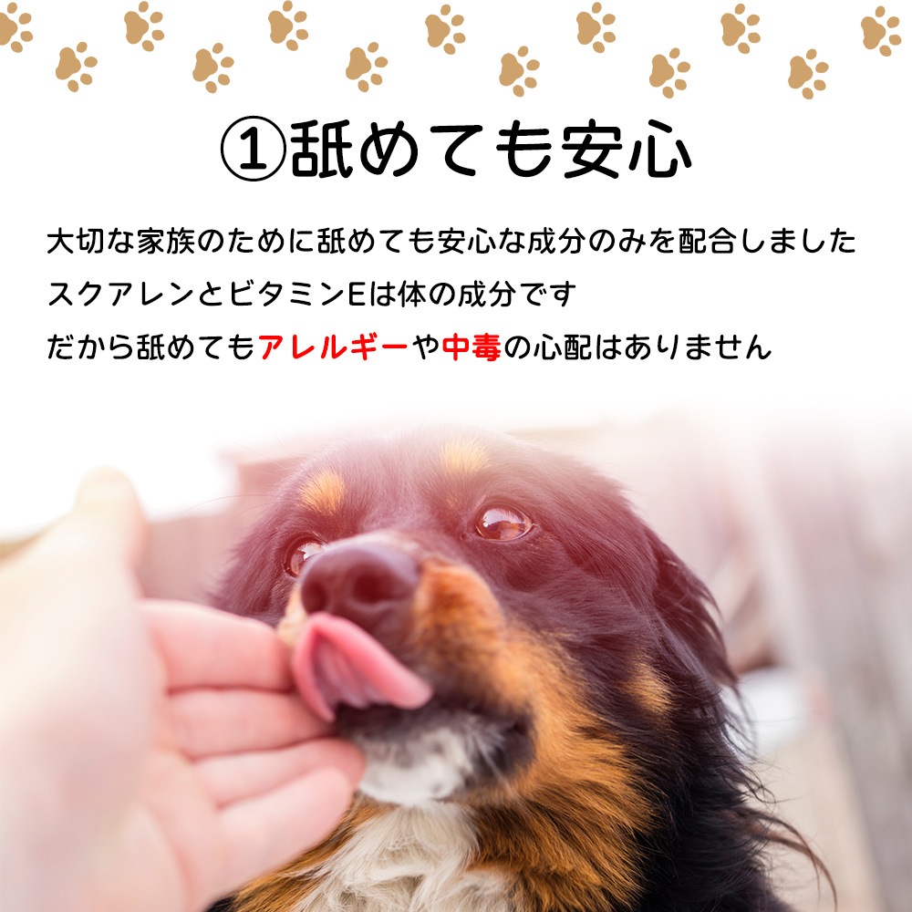 サメキラリ