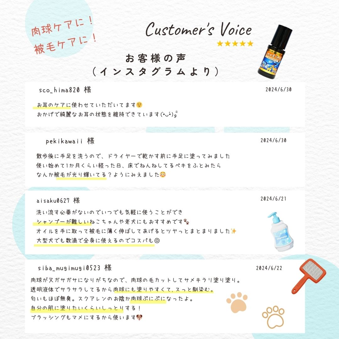 サメキラリ