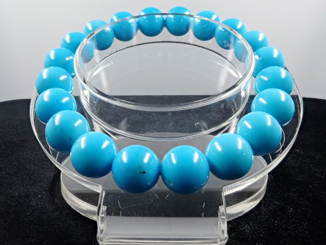 ꡼ԥ󥰥ӥ塼ƥ֥쥹åȡ10.2СSA++