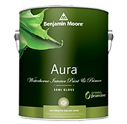 Aura <br>(3.8L