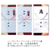 メール便 翌日配達・送料無料 のし紙サービス(印刷代込) ハーゲンダッツギフト券 のし紙サービス