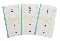 メール便 翌日配達・送料無料 のし袋サービス(印刷代込) ハーゲンダッツギフト券 のし袋サービス 空色